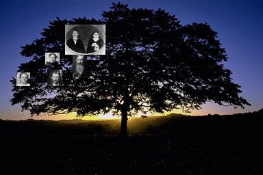 family history